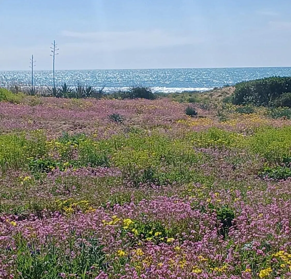 Casa vacanze Villa Fin Fiori Menfi